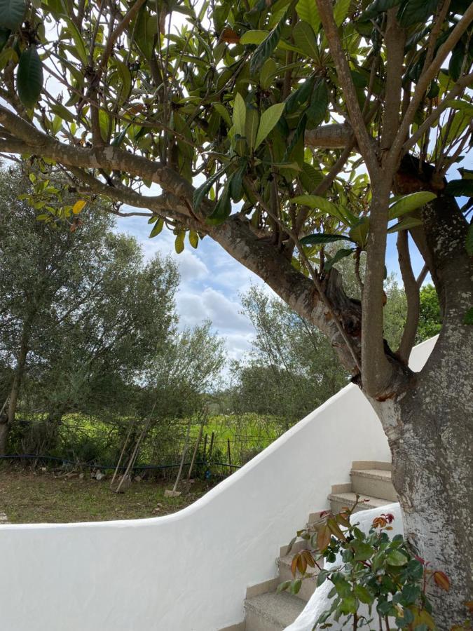 Casa Vacanza Porta Smeralda Olbia Exterior photo