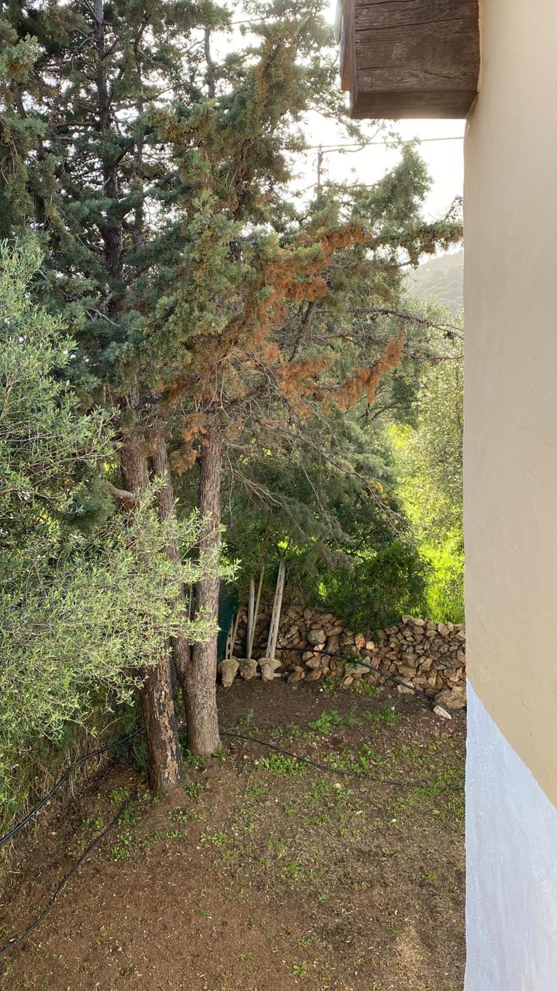 Casa Vacanza Porta Smeralda Olbia Exterior photo